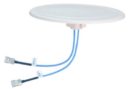 617-4000 MHz 3/4/5 dBi DAS Omnidirectional Antenna with 2 N Female Connectors